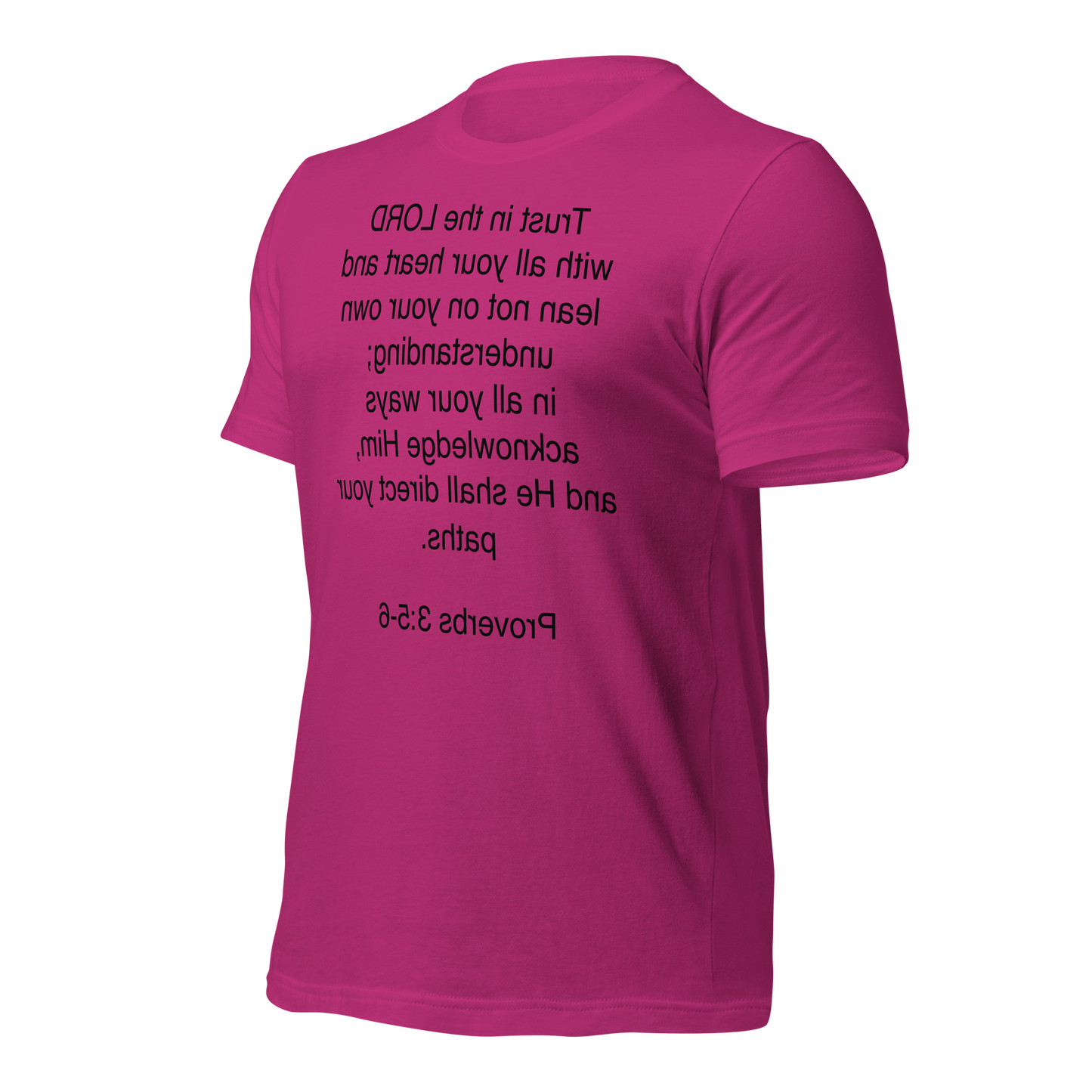 Proverbs 3:5 - Unisex t-shirt