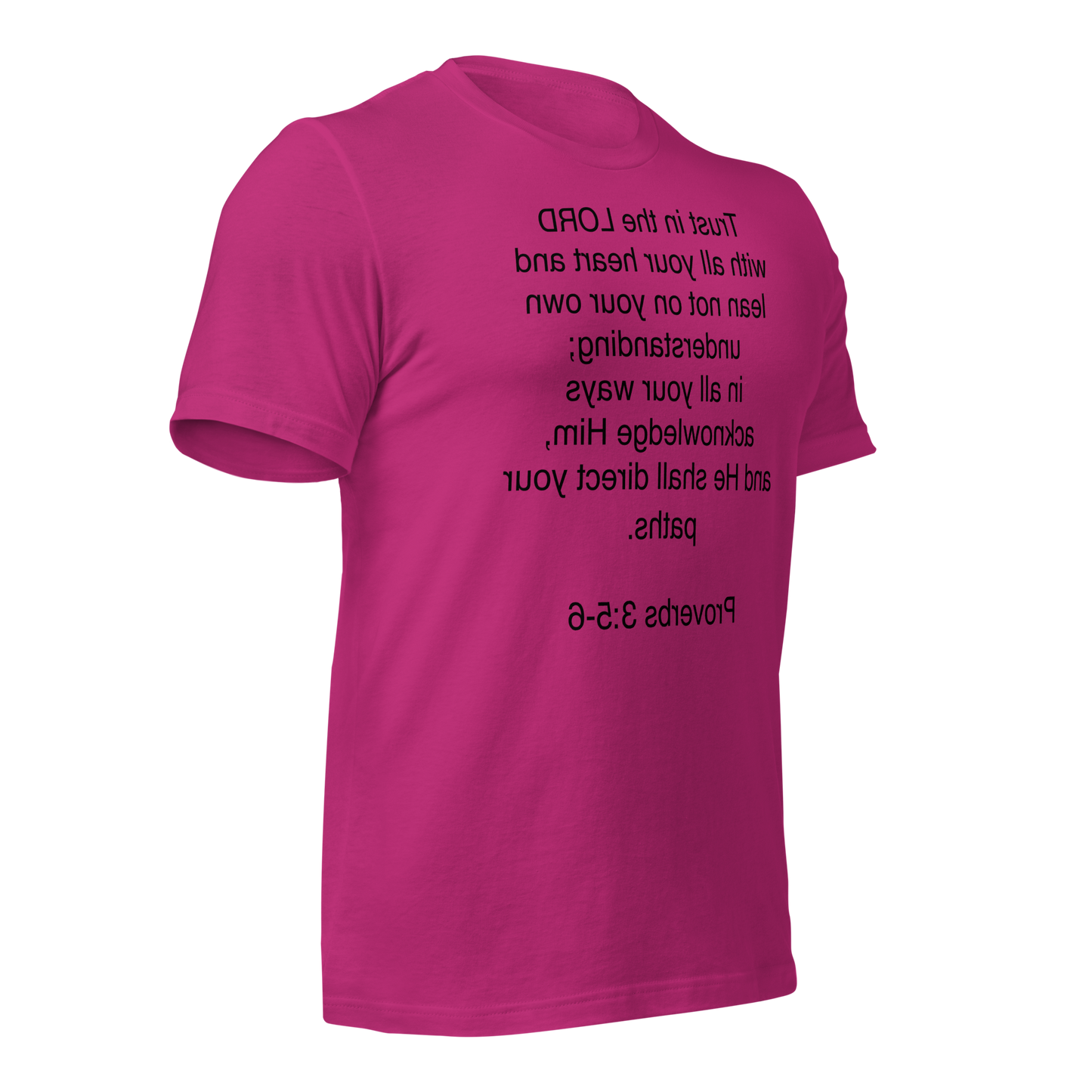 Proverbs 3:5 - Unisex t-shirt